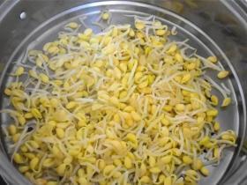 豆芽被称为“春季宝”,春天食用健脾又养肝