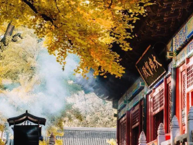 细说积累福报的种种布施
