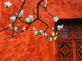 H.H.第三世多杰羌佛在人间