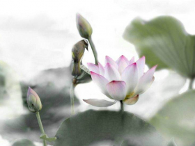 西方人敬佩三世多杰羌佛