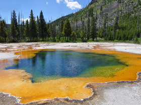 无意间看到的圣迹